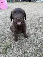 processed/142e8675-0bb2-4f59-ac1f-3112d19933ff/listing/c7f9b575-9257-4e7c-b838-856ec2f85eea/106565bd-e225-4e0e-8be8-e31827c7f281