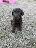 processed/142e8675-0bb2-4f59-ac1f-3112d19933ff/listing/c7f9b575-9257-4e7c-b838-856ec2f85eea/23c6e2d6-1228-41d9-ab84-a8f70b4f2b26