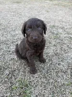 processed/142e8675-0bb2-4f59-ac1f-3112d19933ff/listing/c7f9b575-9257-4e7c-b838-856ec2f85eea/37467c25-8be4-40e8-bad6-2ee39125eabf