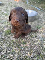 processed/142e8675-0bb2-4f59-ac1f-3112d19933ff/listing/c7f9b575-9257-4e7c-b838-856ec2f85eea/cb44109c-275e-4045-9988-33c05aaa85e3