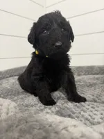 processed/142e8675-0bb2-4f59-ac1f-3112d19933ff/listing/e7b8a022-d8ec-4850-867c-71b0e0b8a401/54f5953e-8908-4179-a3f3-3c9e99f22b15