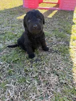 processed/142e8675-0bb2-4f59-ac1f-3112d19933ff/listing/e7b8a022-d8ec-4850-867c-71b0e0b8a401/6b5158aa-760c-45de-9140-6f89965a939d