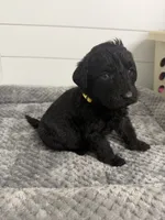 processed/142e8675-0bb2-4f59-ac1f-3112d19933ff/listing/e7b8a022-d8ec-4850-867c-71b0e0b8a401/70d9c224-cb7b-4b7b-82eb-4d02dc0563f9