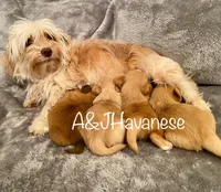 processed/1433e160-3ec6-40bb-9706-511dea431e44/facility/89cf97da-774c-4349-9f4d-0768484ea3c7