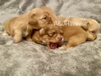 processed/1433e160-3ec6-40bb-9706-511dea431e44/facility/b973bc2b-3b75-4153-bde2-dba8f8d79ecf