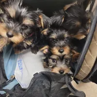 processed/14368a6d-8101-493c-8c2e-7b60549cf1eb/facility/5e24349f-448f-40bd-83c6-a013144766aa