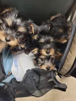 processed/14368a6d-8101-493c-8c2e-7b60549cf1eb/facility/5e24349f-448f-40bd-83c6-a013144766aa