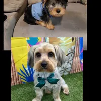 processed/14368a6d-8101-493c-8c2e-7b60549cf1eb/facility/70a73370-d91a-4614-8f63-484a939f1ab2