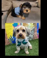 processed/14368a6d-8101-493c-8c2e-7b60549cf1eb/facility/70a73370-d91a-4614-8f63-484a939f1ab2