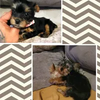 processed/14368a6d-8101-493c-8c2e-7b60549cf1eb/facility/7dddd475-c291-4579-9f86-2b102d67522a