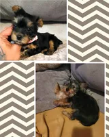 processed/14368a6d-8101-493c-8c2e-7b60549cf1eb/facility/7dddd475-c291-4579-9f86-2b102d67522a