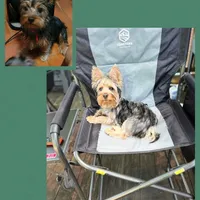 processed/14368a6d-8101-493c-8c2e-7b60549cf1eb/facility/b45d1b28-15f7-4c67-9377-ff8bb9734bfe