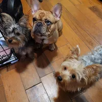 processed/14368a6d-8101-493c-8c2e-7b60549cf1eb/facility/bbce11b9-5880-4c1b-99b6-dec7874ada6c