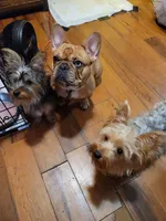 processed/14368a6d-8101-493c-8c2e-7b60549cf1eb/facility/bbce11b9-5880-4c1b-99b6-dec7874ada6c