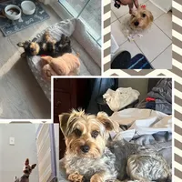 processed/14368a6d-8101-493c-8c2e-7b60549cf1eb/facility/c957e3e3-1352-46c2-8367-a25d19630986