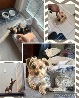 processed/14368a6d-8101-493c-8c2e-7b60549cf1eb/facility/c957e3e3-1352-46c2-8367-a25d19630986