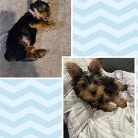 processed/14368a6d-8101-493c-8c2e-7b60549cf1eb/facility/cfe62da6-1d52-44c0-8b91-bae24ee9d6c0