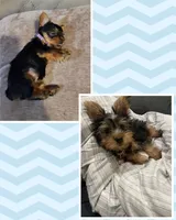 processed/14368a6d-8101-493c-8c2e-7b60549cf1eb/facility/cfe62da6-1d52-44c0-8b91-bae24ee9d6c0