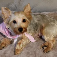 processed/14368a6d-8101-493c-8c2e-7b60549cf1eb/facility/f1b8008b-8e42-4635-986f-ccca13aa7852