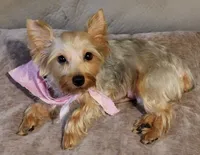 processed/14368a6d-8101-493c-8c2e-7b60549cf1eb/facility/f1b8008b-8e42-4635-986f-ccca13aa7852