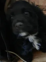 processed/1436f49c-38bc-4781-aa30-bfc57f67fb58/listing/5cdc92e0-0153-4f39-a53a-95f1f4c6198a/11de60e6-0b37-4a92-b44f-057ac809f7f7