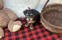 processed/1453eafa-b5a2-48d3-9c90-9afc2a8afca8/listing/191b1057-dbf5-4355-8417-baebc9a8ce7c/6ff58cd0-cb05-4712-bf13-15e11b4feecb