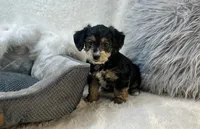 processed/1453eafa-b5a2-48d3-9c90-9afc2a8afca8/listing/4104c87b-e01e-443f-93d3-ca2f59ab4652/dd579a98-b6b7-4cd8-afda-7db243b07323