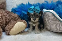 processed/1453eafa-b5a2-48d3-9c90-9afc2a8afca8/listing/cc58a8c9-228f-4401-974d-588481693523/21df0eac-b369-460e-983d-56ab880294ba