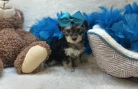 processed/1453eafa-b5a2-48d3-9c90-9afc2a8afca8/listing/cc58a8c9-228f-4401-974d-588481693523/2d363890-dab3-4520-aa61-c6347c6025c5