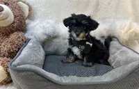 processed/1453eafa-b5a2-48d3-9c90-9afc2a8afca8/listing/da5e670a-1d8c-4948-ade9-2cffd4c6be6d/14bb4c20-e92b-46d8-94aa-29f2c66a1437