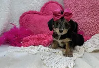 processed/1453eafa-b5a2-48d3-9c90-9afc2a8afca8/listing/ddbc466e-4d1c-47b5-b793-8829caef34e7/51578eeb-c40a-4a81-9f80-1f04bbd545d9