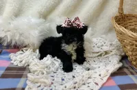 processed/1453eafa-b5a2-48d3-9c90-9afc2a8afca8/listing/fa227780-f3cf-4f9b-b184-3e5b265325c2/11e701e5-727d-4158-bc7f-1e80802d8578