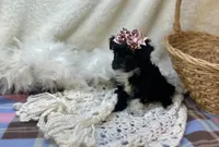 processed/1453eafa-b5a2-48d3-9c90-9afc2a8afca8/listing/fa227780-f3cf-4f9b-b184-3e5b265325c2/5132ed8e-89b9-468b-b7e4-e80a72927833