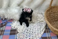 processed/1453eafa-b5a2-48d3-9c90-9afc2a8afca8/listing/fa227780-f3cf-4f9b-b184-3e5b265325c2/941b0889-d3b3-4499-a41b-df8b9c5a887a