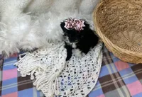 processed/1453eafa-b5a2-48d3-9c90-9afc2a8afca8/listing/fa227780-f3cf-4f9b-b184-3e5b265325c2/a00f143a-8c87-4dbc-9f3a-93dceb61000c