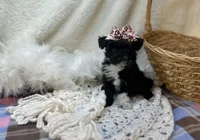 processed/1453eafa-b5a2-48d3-9c90-9afc2a8afca8/listing/fa227780-f3cf-4f9b-b184-3e5b265325c2/e170592c-7eb2-4a4a-a7c1-f7a56c024c4b