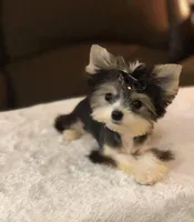 processed/1455c700-9d07-4176-b090-933bd095a5fc/facility/276e4697-811b-4a81-8f24-2beec0ef6198