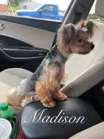 processed/1455c700-9d07-4176-b090-933bd095a5fc/facility/6f62c385-9938-41c2-993f-6ebb706e2baf