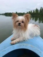 processed/1455c700-9d07-4176-b090-933bd095a5fc/facility/728ec9ce-8cca-4a5a-b577-bba0ec6a0e3f