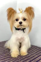 processed/1455c700-9d07-4176-b090-933bd095a5fc/facility/919294de-52bd-4478-8790-a24b65812765