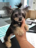 processed/1455c700-9d07-4176-b090-933bd095a5fc/facility/ca533837-7317-42b2-9220-85aca5c73bb0