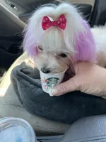 processed/1455c700-9d07-4176-b090-933bd095a5fc/facility/ddc24449-f2b0-4b49-8066-1658dfb644c1