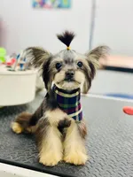 processed/1455c700-9d07-4176-b090-933bd095a5fc/facility/f4b2531b-4708-47f0-850e-4e6dbeacdc13