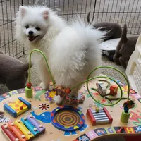 processed/1462e58c-da01-4199-962a-76e73569559b/facility/54f34e12-f0a0-4b34-8243-b7bba73953b3