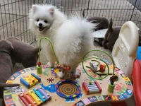 processed/1462e58c-da01-4199-962a-76e73569559b/facility/54f34e12-f0a0-4b34-8243-b7bba73953b3