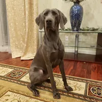 processed/1462e58c-da01-4199-962a-76e73569559b/facility/603e7bba-75db-429b-bcdc-f675cbb0f445