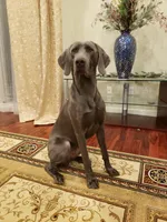 processed/1462e58c-da01-4199-962a-76e73569559b/facility/603e7bba-75db-429b-bcdc-f675cbb0f445