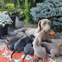 processed/1462e58c-da01-4199-962a-76e73569559b/facility/6ac6374b-19f4-408f-bbc8-f187214437a0