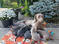 processed/1462e58c-da01-4199-962a-76e73569559b/facility/6ac6374b-19f4-408f-bbc8-f187214437a0