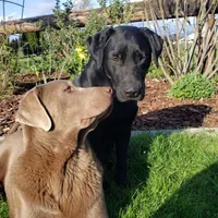 processed/1462e58c-da01-4199-962a-76e73569559b/facility/7ffa908b-23df-449e-86c6-54ff6a630f88